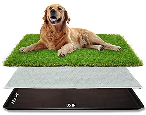 Dog Grass Large Potty Patch, Dog Litter Boxes Artificial Grass Bathroom Turf for Pet Training, Washable Puppy Pee Pad, Perfect Indoor/Outdoor Portable Potty Pet Loo (Tray system-35X22.6)