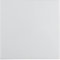 Berker 16208989 Wippe polarweiss