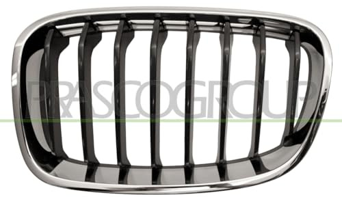 PRASCO Griglia radiatore BM1232024