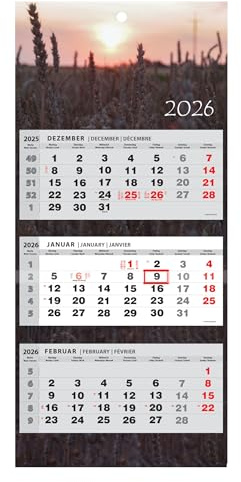 3-Month View Wall Calendar 2026 – Multi-Language (English, German, French) – Large Quarterly Planner for Home & Office – Sliding Date Indicator – Foldable Business Calendar