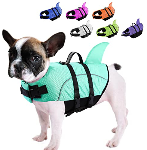 Gilet de Sauvetage pour Chiens Queenmore Ripstop, Gilet de Sauvetage en Forme de Requin pour Petites et Moyennes Races, offrant Une Grande flottabilité et Une poignée de Levage(Bleu Clair M)