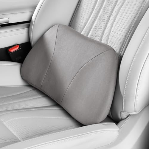 POKSRI cojin Lumbar Silla Oficina/para Coche,Cojín para Aliviar el Dolor de Espalda,se Ajusta Cómodamente a la Cintura,Espuma con Memoria,Tejido de Ante Suave al Tacto,Mejora Postura,Portátil,39x22cm