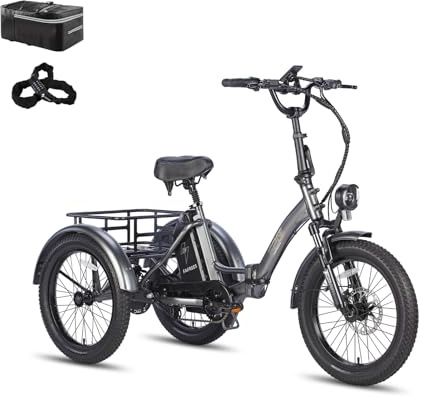 Fafrees F20 Mate Elektro-Dreirad | Klappbar, 48V Akku, 65Nm Motor | 20×3.0 Allwetterreifen, 180kg Lastenfähigkeit, Senioren-E-Bike (18Ah-Basismodell, Grauer Stil 1)