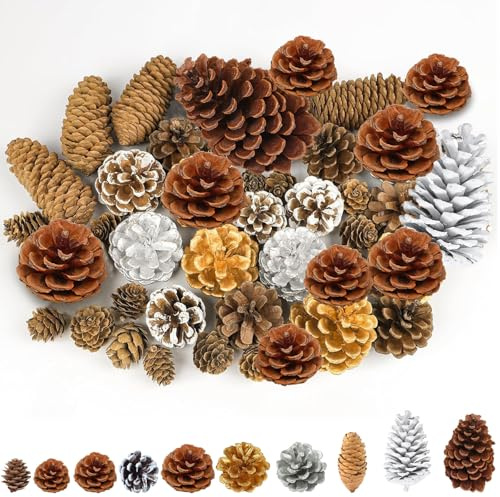 42Pcs Natural Pine Cones for Decoration, 2cm to 9cm Diameter Real Pine Cones for Crafts, Bulk PinesCones for Winter Rustic Christmas Decor (10 Design)