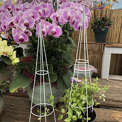 2 Stücke Rankhilfe Obelisk Pflanzstäbe Tomatenstäbe Gartenstecker Gartenpfähle Pflanzenstäbe Rankobelisk Pflanzenstütze Kletterhilfe Plant Support für Pflanzen ,Blumen,Gemüse,Kletterpflanzen und Rosen