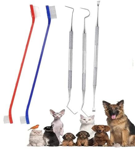 QeeHeng 5 Stück Hundezahnbürsten-Set, 2 Stück doppelseitige lange Hundezahnbürste und 3 Stück Plaque-Entfernungswerkzeug, Katzenzahnbürste für Hunde Katzen