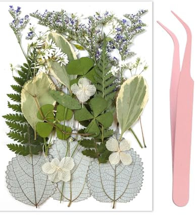 MYGLOAR 21 spécimens de Plantes à Feuilles pressées à Sec, pétales de Feuilles mélangés, véritable décoration Artisanale en résine de Feuilles sèches Naturelles, Ornements, avec 1 Pince à épiler