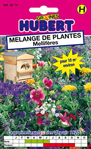 Mélange de Graines de Fleurs Méllifères Pour 10 m² - 12 grammes