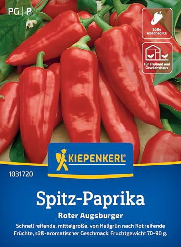 Kiepenkerl Spitz-Paprikasamen Roter Augsburger 1031720 - schnell reifend - mittelgroße Sorte - süß- aromatisch - Saatgut, Samen Gemüse, Gemüsepflanzen