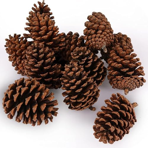 JOHOUSE 12 Large Natural Pine Cones, Pinecone Bowl Fillers (3.5 - 5)