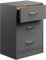 Casaria® Nachttisch Anthrazit LED 3 Schubladen Kabelführung Wandbefestigung Boxspringbett Schlafzimmer Nachtschrank Nachtkonsole Nachtkommode 54x39x28cm