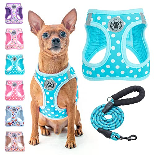 BEAUTYZOO Juego de arnés y correa para perro, arnés reflectante con patrón de lunares para perro, sin tirones, sin estrangulamiento, arnés para cachorros XXS, XS, S, S, S, arnés de malla acolchada