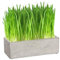 Cat FurNature - Luxury Cat Grass Pots and Growing Kits (Concrete Trough)