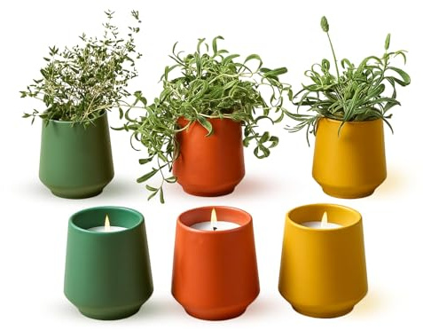 Modern Sprout Rooted Candle Lot de 3 bougies parfumées 2 en 1 avec graines qui poussent en plantes – Bougie de soja de 170,1 g avec 42 heures de combustion dans un récipient en céramique mate