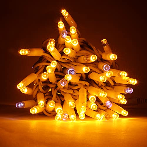 Luccika, Stringa LED Professionale MaxiLed 8mm con Flash, Illuminazione Decorativa (Oro Antico, 30 Metri, 300 LED)