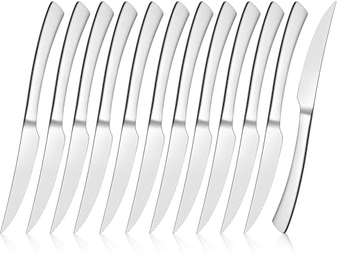 E-far Serrated Steak Knives Set of 12, Stainless Steel Dinner Knife for Home Kitchen Restaurant, 9 Inch Table Knife with Ergonomic Handle and Sharp Tip & Blade, Mirror Silver & Dishwasher Safe