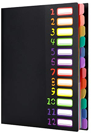 Projektmappe A4 Ordnungsmappe Pultordner 12 Fächer Pultmappe Personalmappe Mit Gummizug Sammelmappe Plastik Ringordner Wasserdichtes Ringbuch Personalhefter für Schule Büro Kunst Business