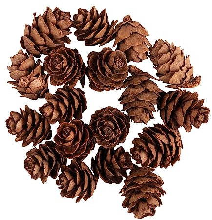 Rayher Set de mini Pommes de pin naturelles, brun, 18pces, 1,5-2cm, décorations diverses, automne, Noël-46722000