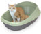 Pop-up Comfort Cat Litter Tray with Double Basin & Crate, Scoopless Cleaning, High Sided walls with Detachable Raised Rims, Anti-Spillage & Mess-Free Cat Toilet (Linden Green, 59x39x27)