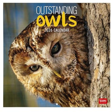 Legami - Wall Calendar 2026, Outstanding Owls, Large Wall Calendar, 12 Months and Year Planner in 6 Languages, Space for Notes, Zodiac Signs, International Holidays, 30 x 29 cm
