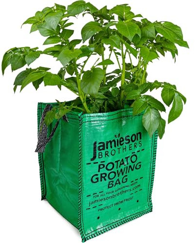 JBA Seed Potatoes 10 x Potato Planter Bags suitable for growing all Vegetables all year round 18x12x12 Has Drainage Holes and Carry Handles- By Jamieson Brothers