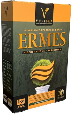 VERILEA ERMES Semi da Prato micorizzati, per rigenerazione e trasemine con Loietto Perenne 90%, Poa Pratensis 10%, Crescita Rapida (1Kg per 35mq)