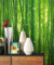 NEWROOM Papier peint Vert Bambou Papier - Nature Forêt