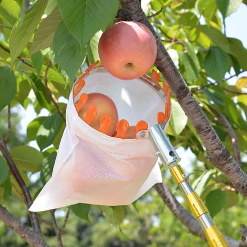 Teleskopstång för fruktplockare, lätt fruktplockningskorg för aprikoser, mango, päron, apelsiner, avokado och citroner