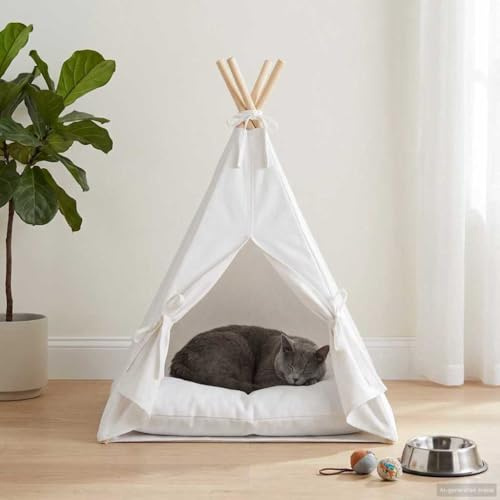 QUAHEAS Tipi pour animal de compagnie avec coussin blanc polyester 40 x 40 x 50 cm intérieur pliable avec cadre en pin et cordes à nouer pour chat chien lieu de repos et sommeil confortable