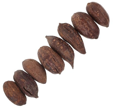 TOBBOMEY 8pièces Jouets à Mordre Fruits Séchés Naturels pour Oiseaux Accessoires De Forage Déchiquetage pour Perroquets Et Autres Oiseaux