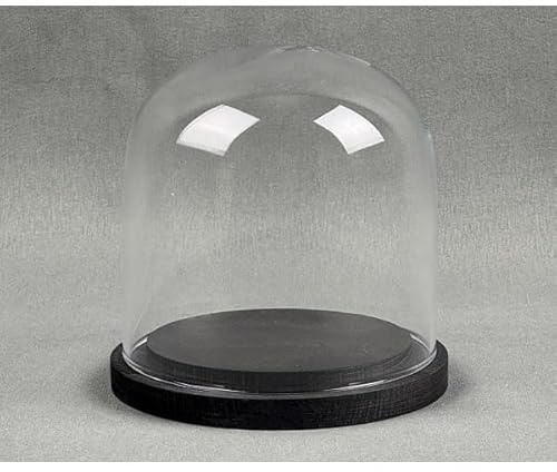 EMH Piccola campana in vetro con base in legno nero, 10 x 10 cm