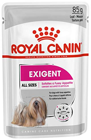 ROYAL CANIN Alimento húmedo Exigent para Perros con Apetito Exquisito, Textura Paté, Caja Completa 12 Sobres x 85 gr