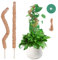 2 Piezas Tutores para Plantas - Tutor Monstera 60 cm en Fibra de Coco plegable Soporte para Trepadoras como con tutor musgo y accesorios adecuado para jardines interiores y exteriores
