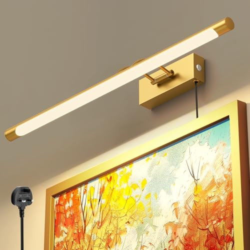HURYEE Picture Light for Wall Mural Art, Painting Lights for Large Portrait, Paintings Art, Picture, Gallery Brightness Adjustable 3000K Warm White Plug in with On/Off Switch (Brush Gold, 24inch)