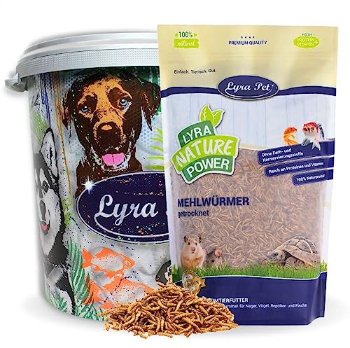 Lyra Pet® | 5 kg Mehlwürmer getrocknet in 30 L Tonne | Proteinreiches Vogelfutter | Für Wildvögel, Nager & Fische | Nahrhaftes Futter | Energiespender für Insektenfresser | Vitamine & Mineralstoffe