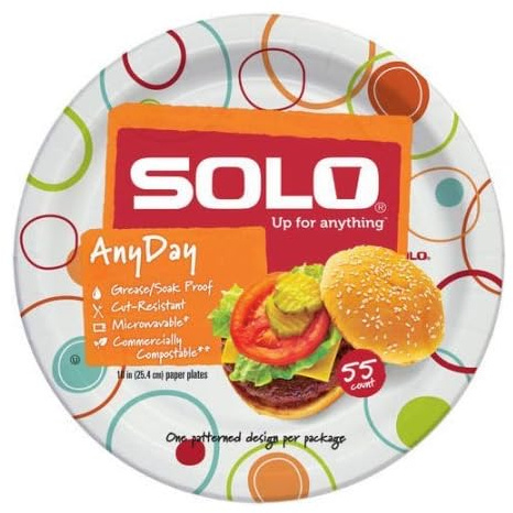 Solo Any Day Paper Plates, 10 Patterns May Vary (Pack of 2)