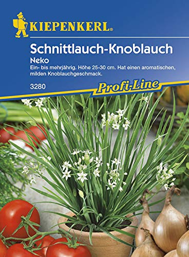 Kiepenkerl 3280 Schnittlauch-Knoblauch Neko (Schnittknoblauchsamen)