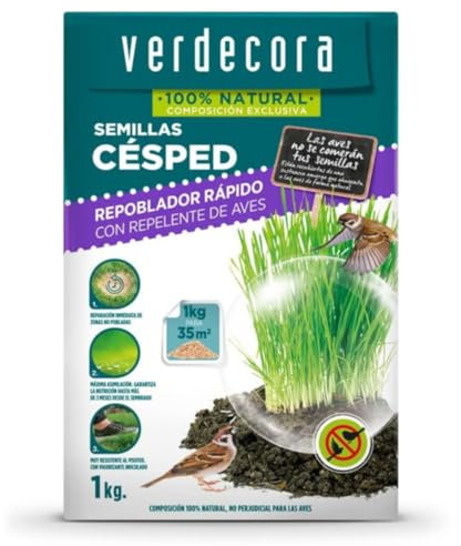 Verdecora Semillas Césped Repoblador Repelente de Aves | Para cubrir zonas de césped deterioradas rapida y eficazmente | Protege las semillas de los pájaros (PORTES INCLUIDOS) (1kg)