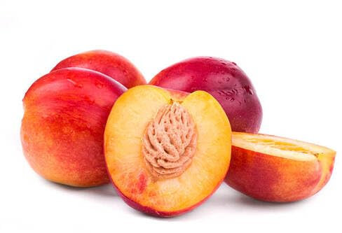 Nouveau frais 20pcs graines de fruits de nectarine