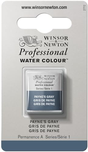 Winsor & Newton Acuarela Profesional - Pintura de Acuarela, Alta Luminosidad, Resistente a la Luz, Calidad de Archivo, 1/2 Godet, Color Gris De Payne