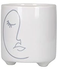 KitchenCraft Macetero Facial para Plantas de Interior para Hierbas, Cactus, suculentas o pequeñas Plantas de casa, dolomita, Gris, 10 x 10 x 11 cm