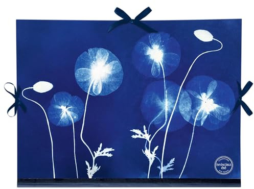 Clairefontaine - 83513C - Un Carton à Dessin Décor Floral/Cyanotype - Fermeture 3 Rubans 28x38cm - Pour formats A4 et 24 x 32 cm - Résistant et Pratique - Collection Cyanotype
