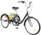 ROMYIX 24 Zoll 8 Gang Erwachsenen-Dreirad mit Korb 3-Rad Erwachsene Senioren Trike Bike für Outdoor-Sport