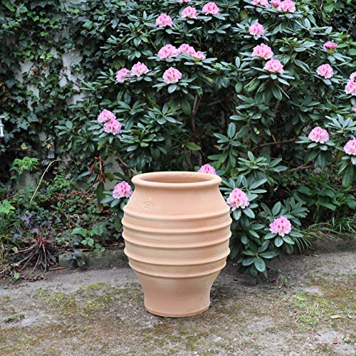 Palatina-Keramik | große griechische Amphore | handgefertigt und frostsicheres Pflanzgefäß aus Terrakotta, Deko Garten Balkon Terrasse Agave 50 cm