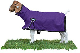 Weaver Leather Livestock ProCool Mesh Goat Blanket with Reflective Piping, Purple, Medium