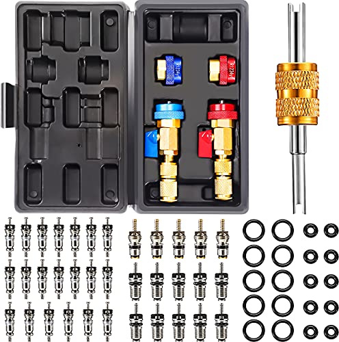 R134A R1234YF, strumento di rimozione della valvola Schrader, 35 pezzi, per aria condizionata, valvola Schrader, 3 pezzi, strumento di rimozione con 20 guarnizioni in gomma O-Ring per auto (A/C R12