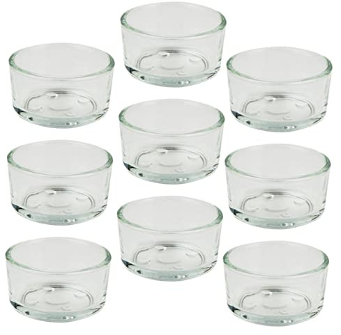 Milisten Bebedero y Comedero para Reptiles 9 Piezas Plato de Agua Transparente para Tortugas Serpientes y Accesorios para Terrarios de Limpiar y Resistente