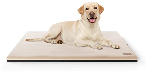 Knuffelwuff Orthopädische kuschelige Hundematte Berrith aus weichem Kaninchenfell-Imitat 100x70cm Beige - Hundekissen für große, mittelgroße und kleine Hunde - Für Zuhause, Auto, Wohnmobil, Wohnwagen
