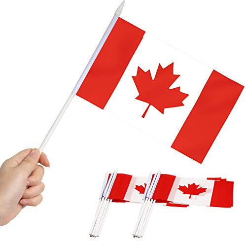 Anley Canada Stick Flag, Kanadische 12x20 cm (5x8 Zoll) Handgeschweißte Mini-Flagge mit 30 cm (12 Zoll) weißem, massivem Pol - lebendige Farbe und lichtBeständig - 5x8 Zoll