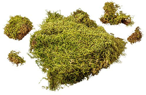 MaMeMi MOOS-Beutel für KRIPPEN und Dekoration – NATÜRLICHES Krippenmoos aus Deutschland, Handgepflückt, Ideal für Basteln von Krippenlandschaften, Gestecken und DIY-Projekte